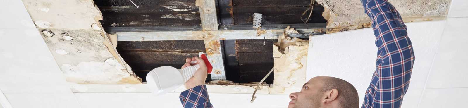 Commercial Mold Remediation Services | Voda - Voda Cleaning & Restoration